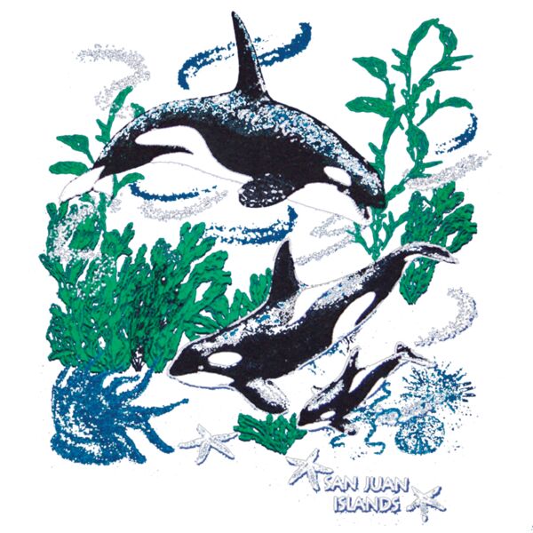 s31 orca scene copy Thumbnail