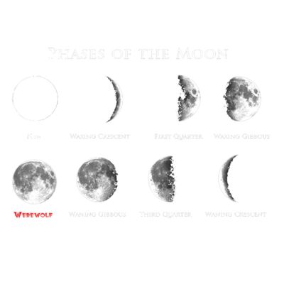 V17 Phases of the moon