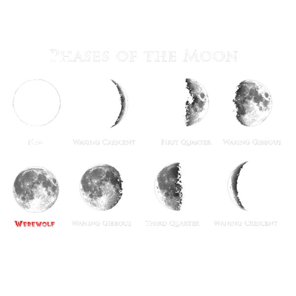 V17 Phases of the moon Thumbnail