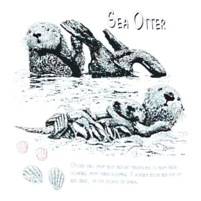 s9 sea otter  copy