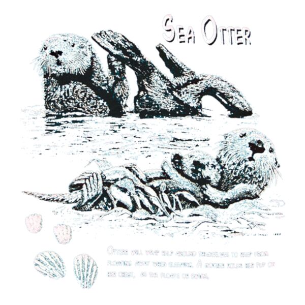 s9 sea otter  copy Thumbnail