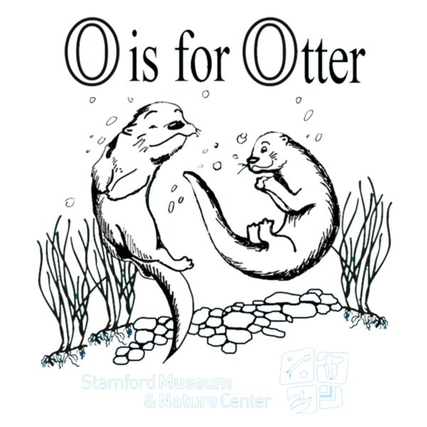 Z413 O IS FOR OTTER Thumbnail