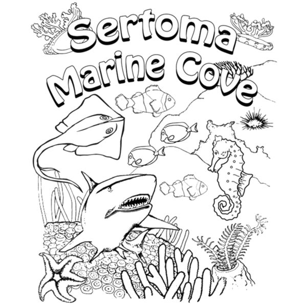 MMS59 TIDEPOOL COLORING T Thumbnail