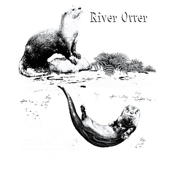 Z410 River Otter Scene Thumbnail