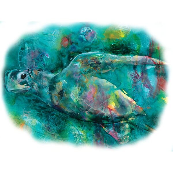 AC129 Angelas Sea Turtle copy Thumbnail