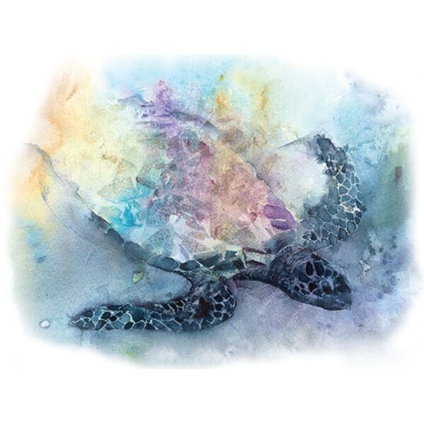 AC130 Angelas Turtle copy Thumbnail