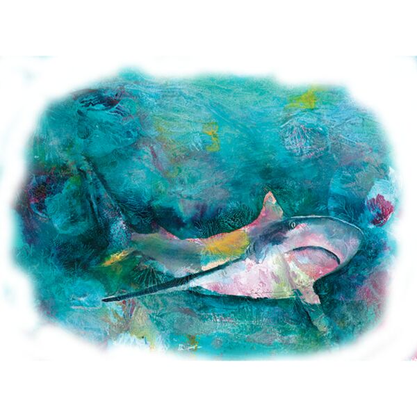 AC127 Angelas Shark copy Thumbnail