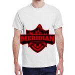 Heavy Cotton™ 5.3 oz. T-Shirt Thumbnail